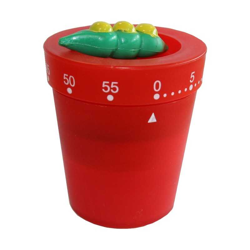 Minuteur mecanique 60mn chili