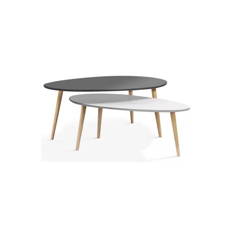 Ensemble de 2 tables basses