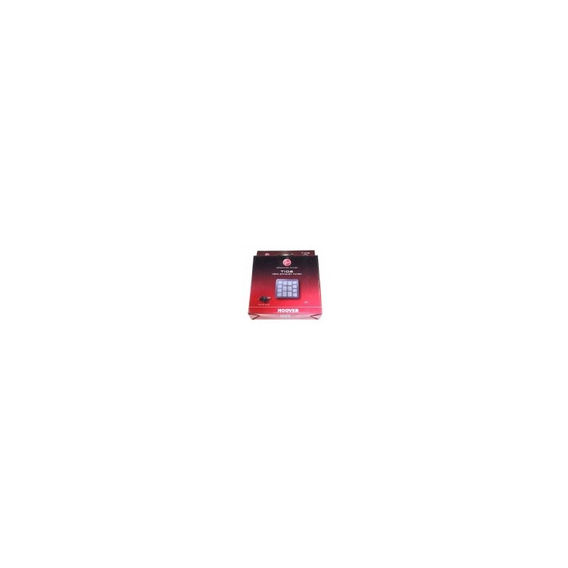 Filtre hepa t108